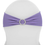 Thumbnail: Elastic Sash with Clip