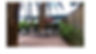 Site Plan Photos.jpg
