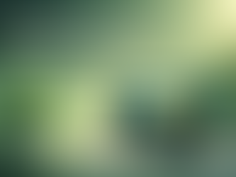 Wenn Windows Updates selbst zum Problem werden: Warum Rechner plötzlich langsamer wirken – obwohl die Hardware stimmt