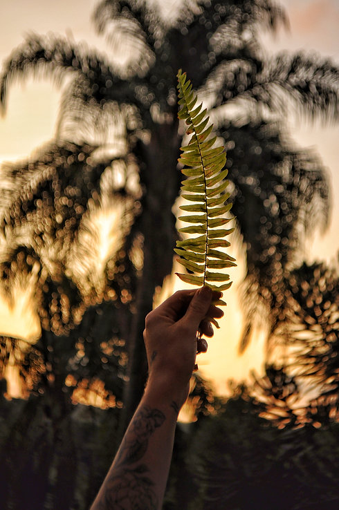 DSC_0532-01.jpeg