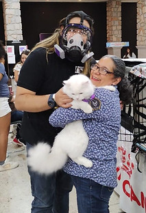 Luis y Chely en un show con un gatito blanco y una moña
