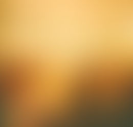 Review - No Joy Acoustic by Spanish Love Songs