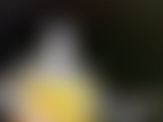 Review - Carrion Songs, Vol. 2 by The Wolf In Our Own Backyard