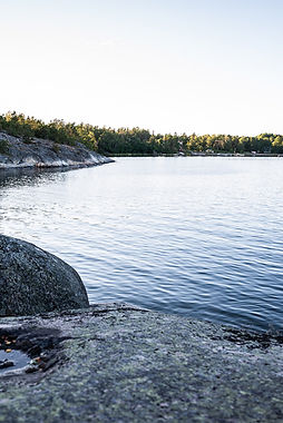 DSC_3891.jpg