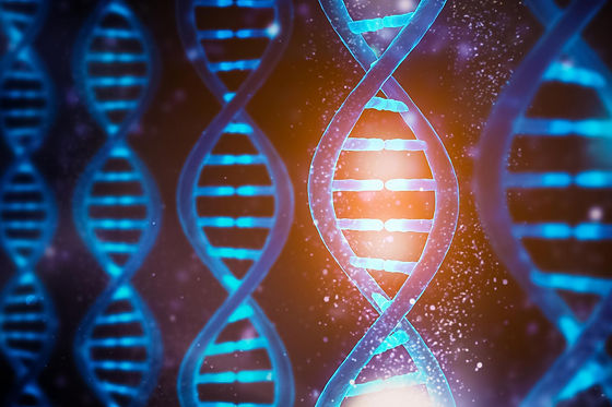 DNA-Functions-Concept.jpeg