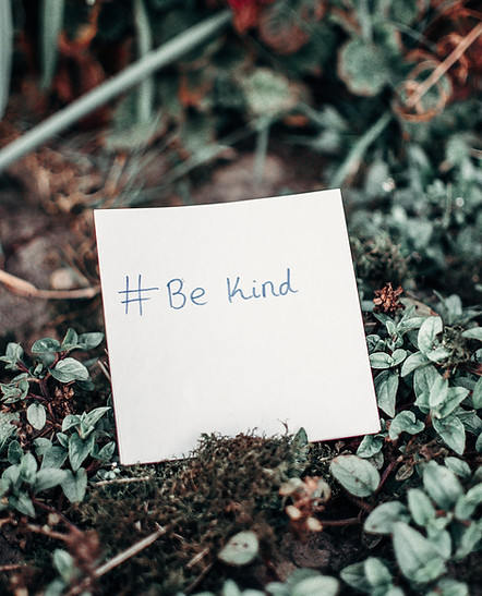 Be Kind by Lisa Fotios