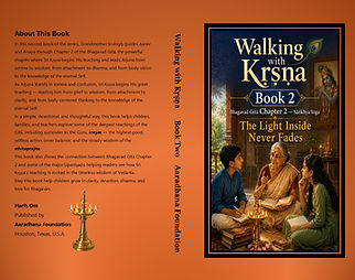The light inside never fades book 2 cover-hard.jpg