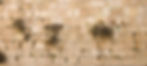 Prayer at the Western Wall_edited.jpg