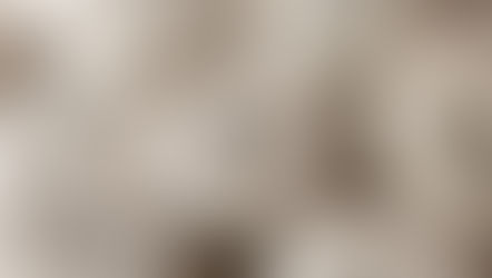                     Motivational Quotes That Will Inspire You to Succeed