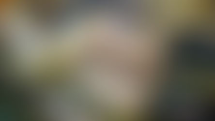 L&R poured DT1’s Mat Foundation - 3,020 Yards 