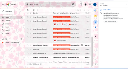 EMAIL MANAGEMENT.png