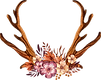 décorées Antlers