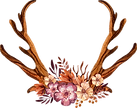 Decorated Antlers