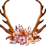 décorées Antlers