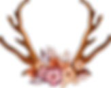 décorées Antlers