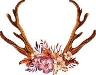 Decorated Antlers