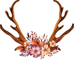 Decorated Antlers