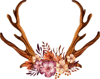 Decorated Antlers