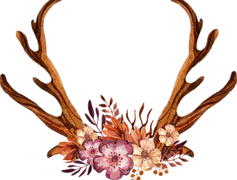 Decorated Antlers