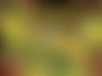 Фестивал на приказката