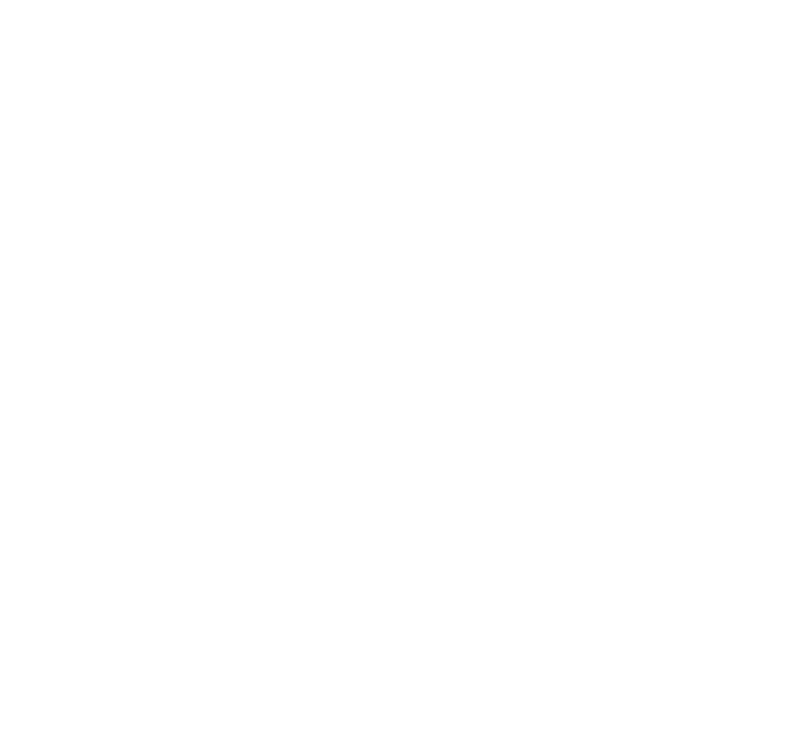Boy Scouts of America logo