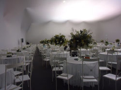 Confederação de Volei (4).jpg