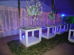 Galeria Azul (22).jpg