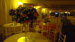 Galerias Corais (15).JPG