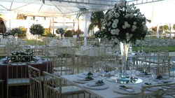 Casamento externo 2 (33).jpg