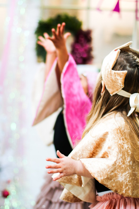Luxury Christmas fancy dress