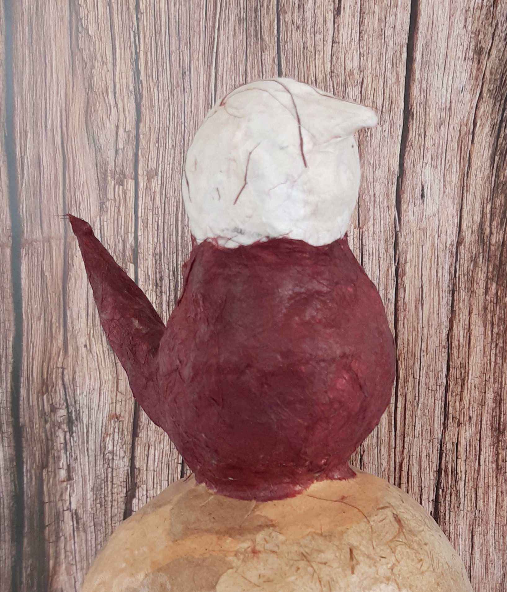 מעצור דלת ציפור על סלע