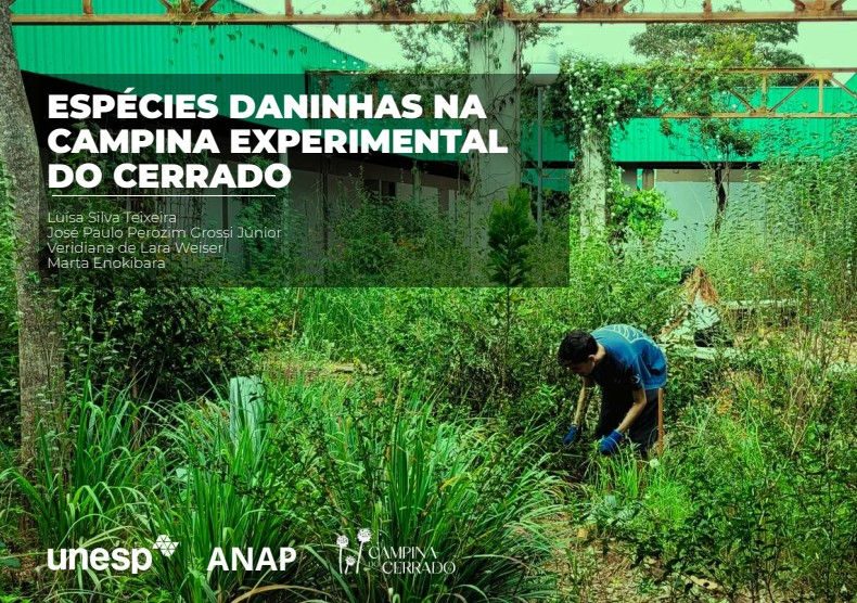 Espécies Daninhas na Campina Experimental do Cerrado
