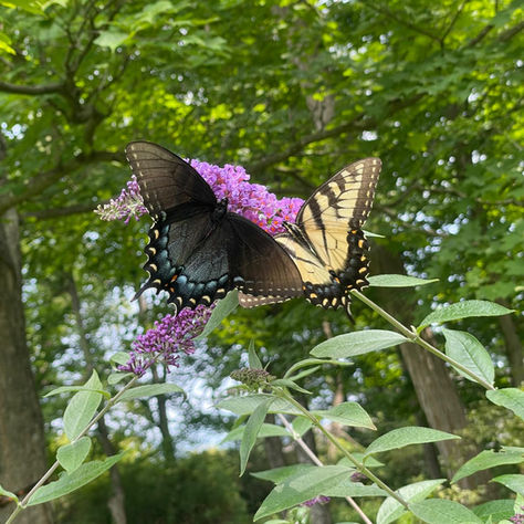 Late summer brings its own special vibe.