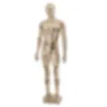 Male Mannequin Chrome Egghead - R327
