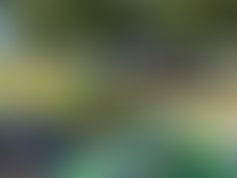 Welcome to our new website!