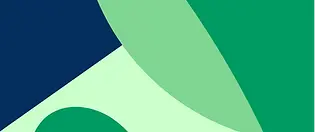 slice3.webp