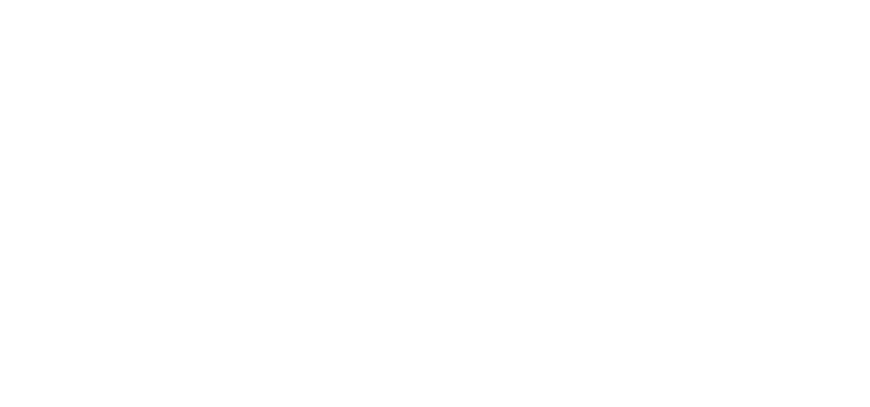 Decisive Point logo