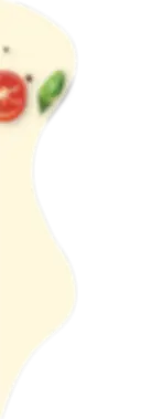 slice1.webp