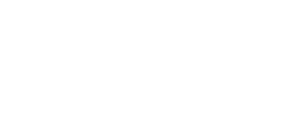 Human Synergistics Logo -White 24_edited.png