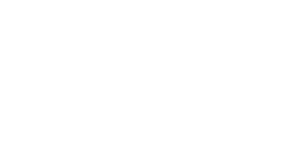 Starlink logo for partners
