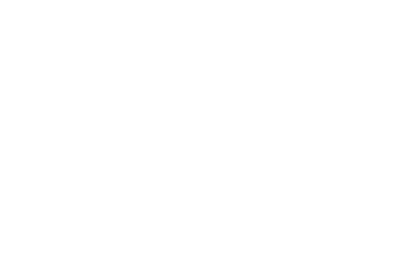 PwC logo