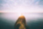 will-van-wingerden-cZVthlrnlnQ-unsplash.