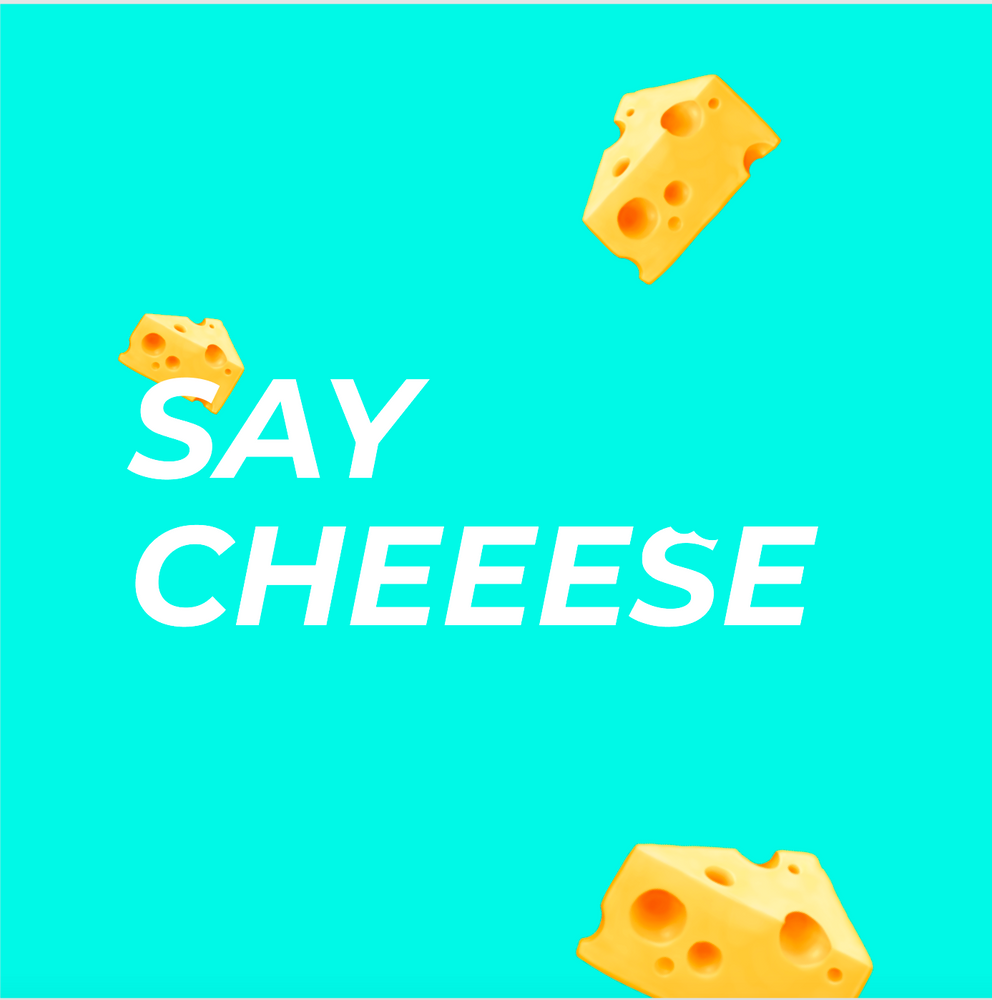 Marketing strategy for cheese production. Packaging ideas