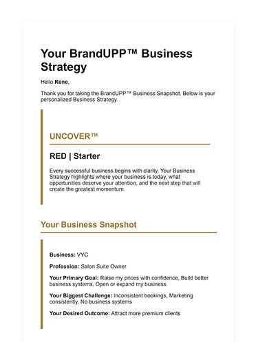 BrandUPP™ Business Snapshot