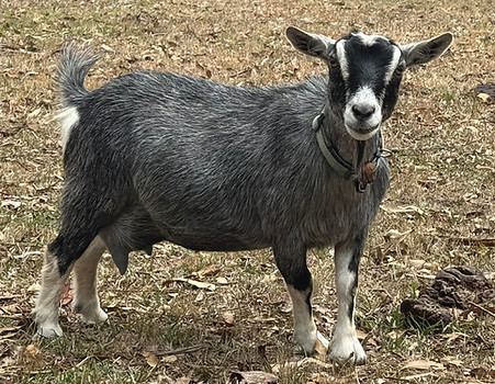 7df7e761-1908-4ea5-aa52-4ccd2a8aaa23 (1).jpg