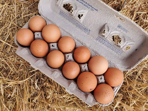 eggs.jpg