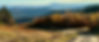 FullSizeRender_edited.jpg