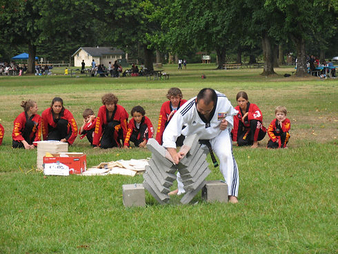 2007-8-23 Summer picnic Demo.JPG