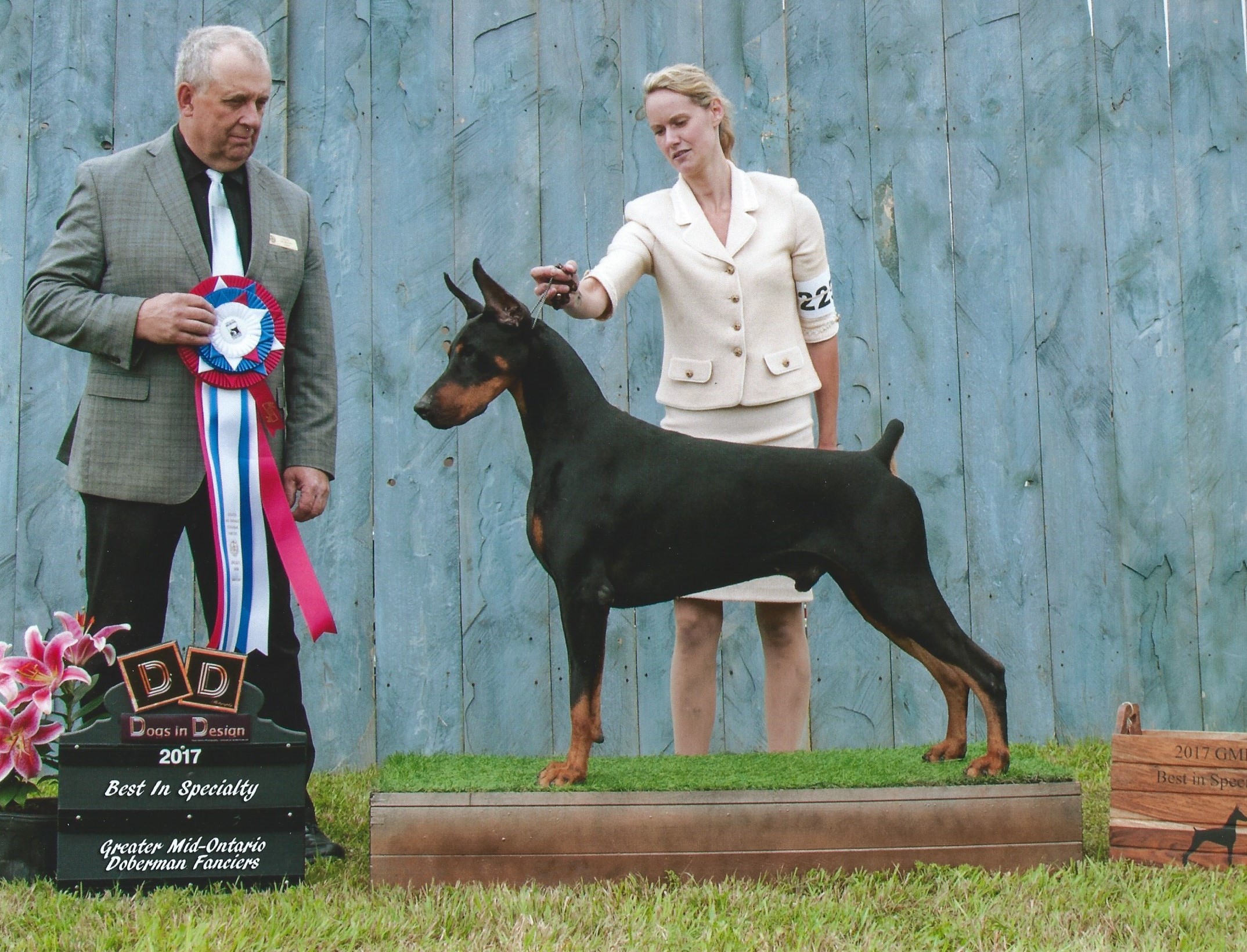 8-6-17 greater mid ontario dog fanciers
