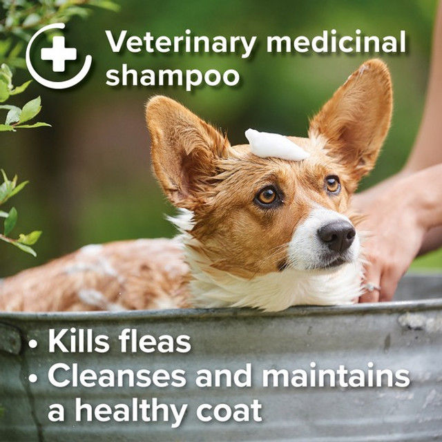 Thumbnail: Beaphar Insecticidal Shampoo for Dogs 250ml